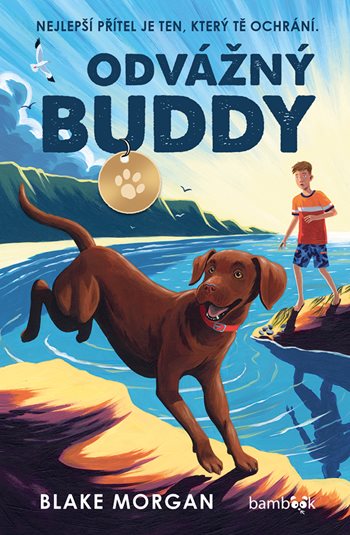 Odvážný Buddy - Blake Morgan