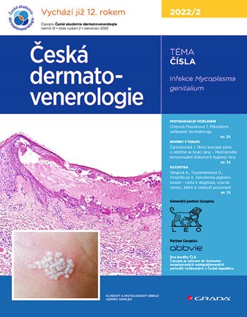 E-kniha: Česká dermatovenerologie 2022/2 od Hercogová Třešňák Jana
