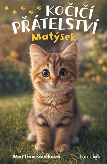 Kočičí přátelství – Matýsek