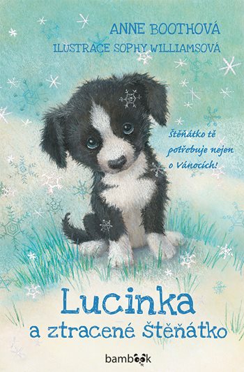 Lucinka a ztracené štěňátko - Anne Bootheová