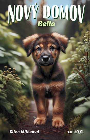 Kniha Nový domov Bella