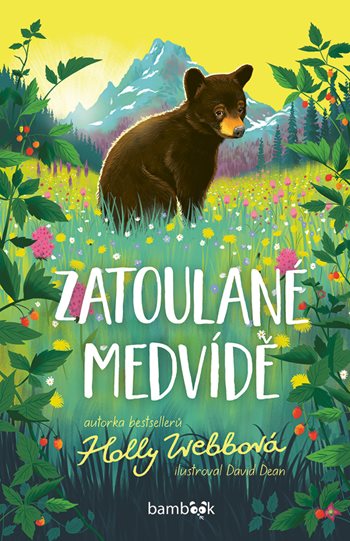 Kniha Zatoulané medvídě