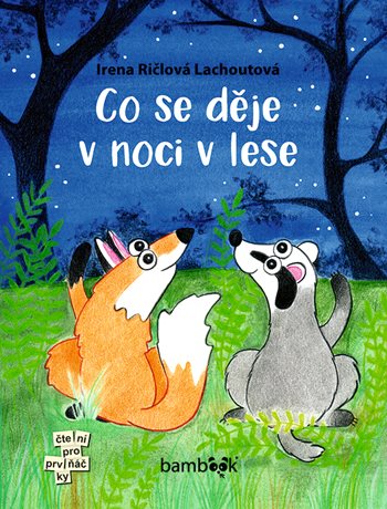 Kniha Co se děje v noci v lese