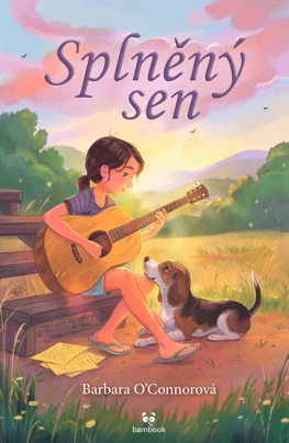 Splněný sen