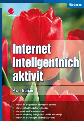 E-kniha: Internet inteligentních aktivit od Burian Pavel
