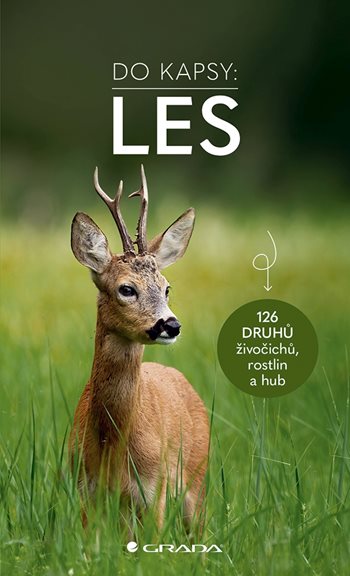 E-kniha: Les - Do kapsy od Wilhelmsenová Ute