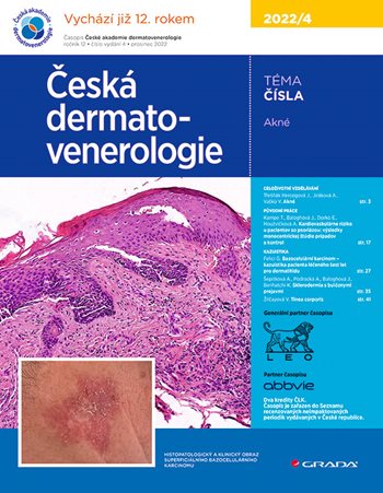E-kniha: Česká dermatovenerologie 2022/4 od Hercogová Třešňák Jana
