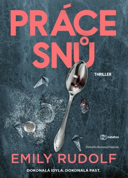 Práce snů
