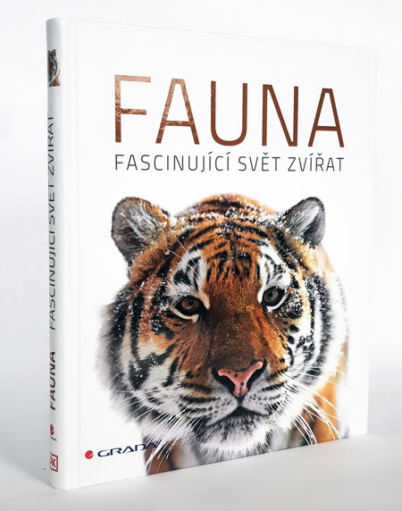 Kniha Fauna - fascinující svět zvířat
